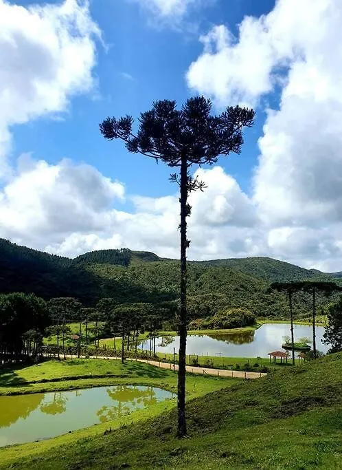 Casa De Campo - Alameda Dos Pinus Anitapolis Chalet